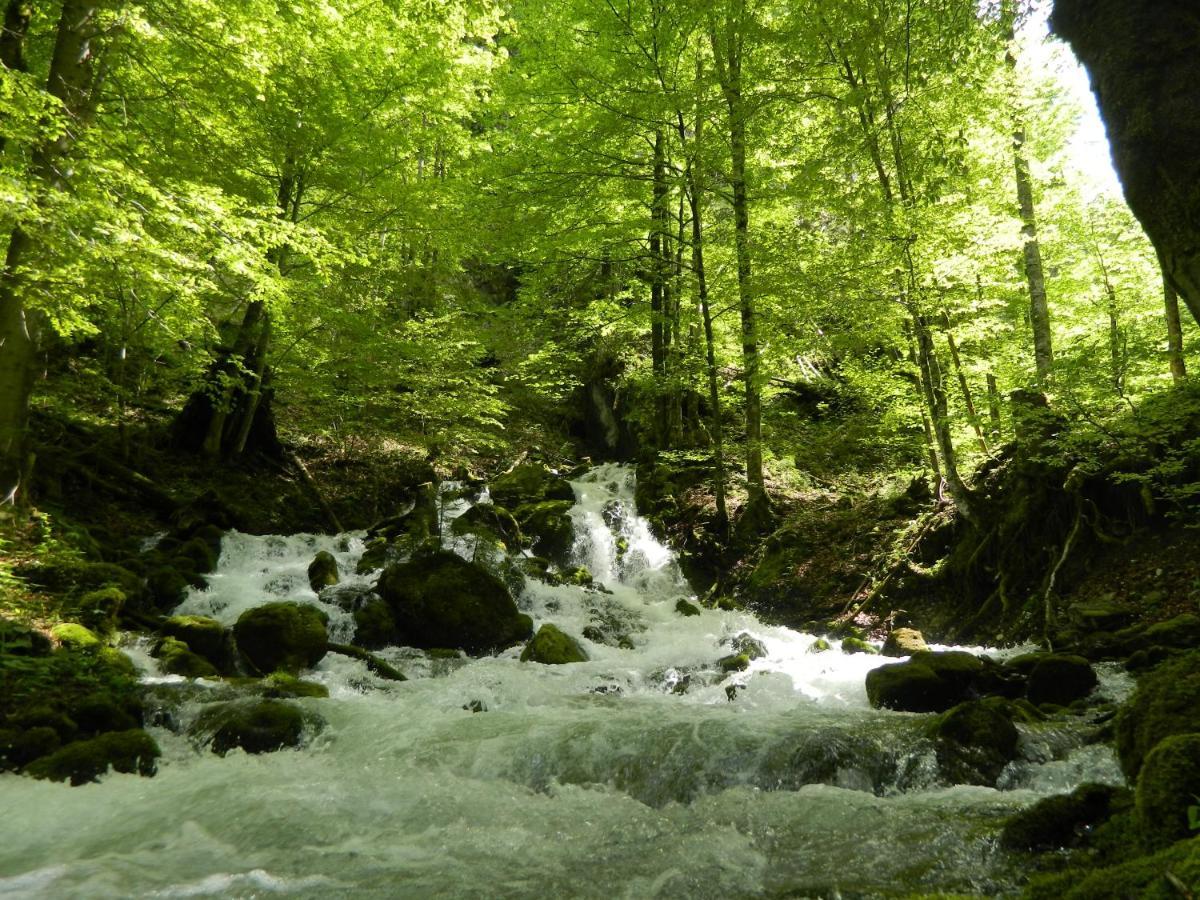 Egglmeier'S Ferienwohnung Grundlsee Luaran gambar